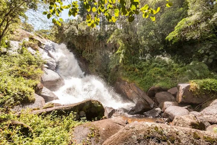 cachoeira em meio à Mata Atlântica